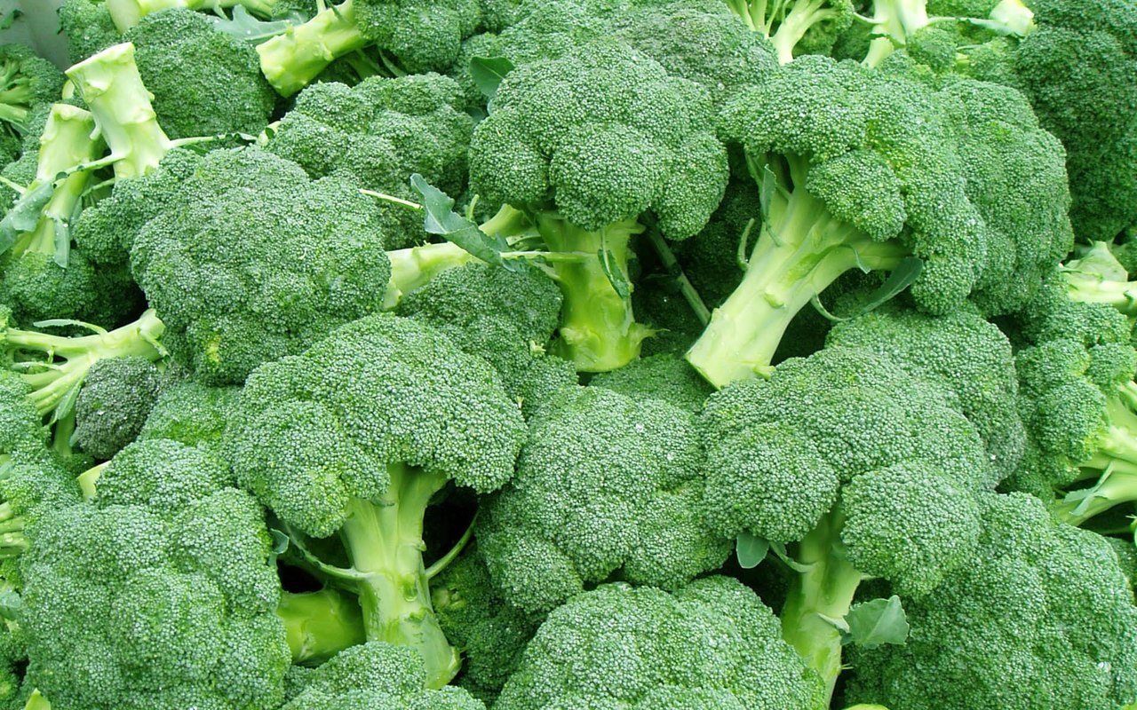 broccoli11311