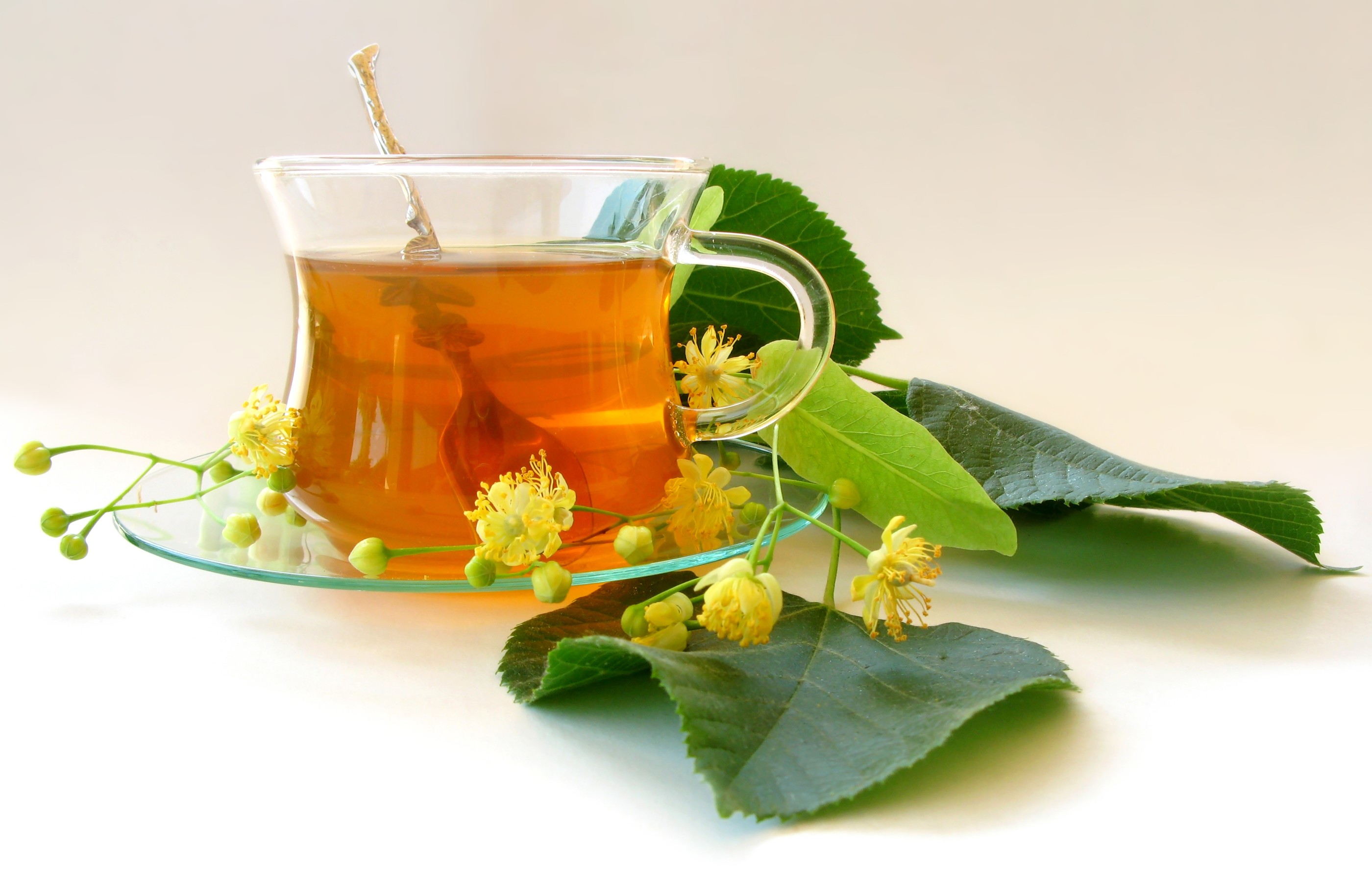 dandelion-root-tea