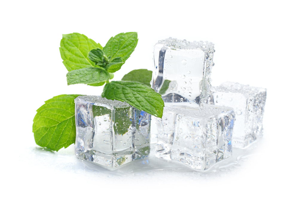 Food-Herbs-Ice-Cube