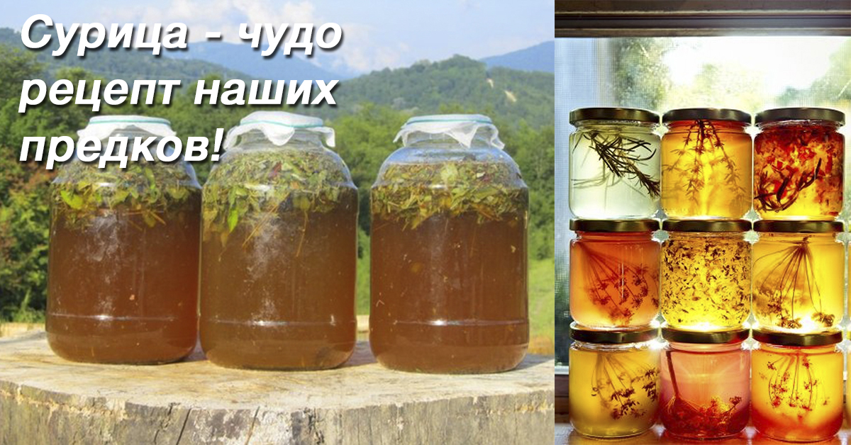 Славянский напиток сурица рецепт с фото
