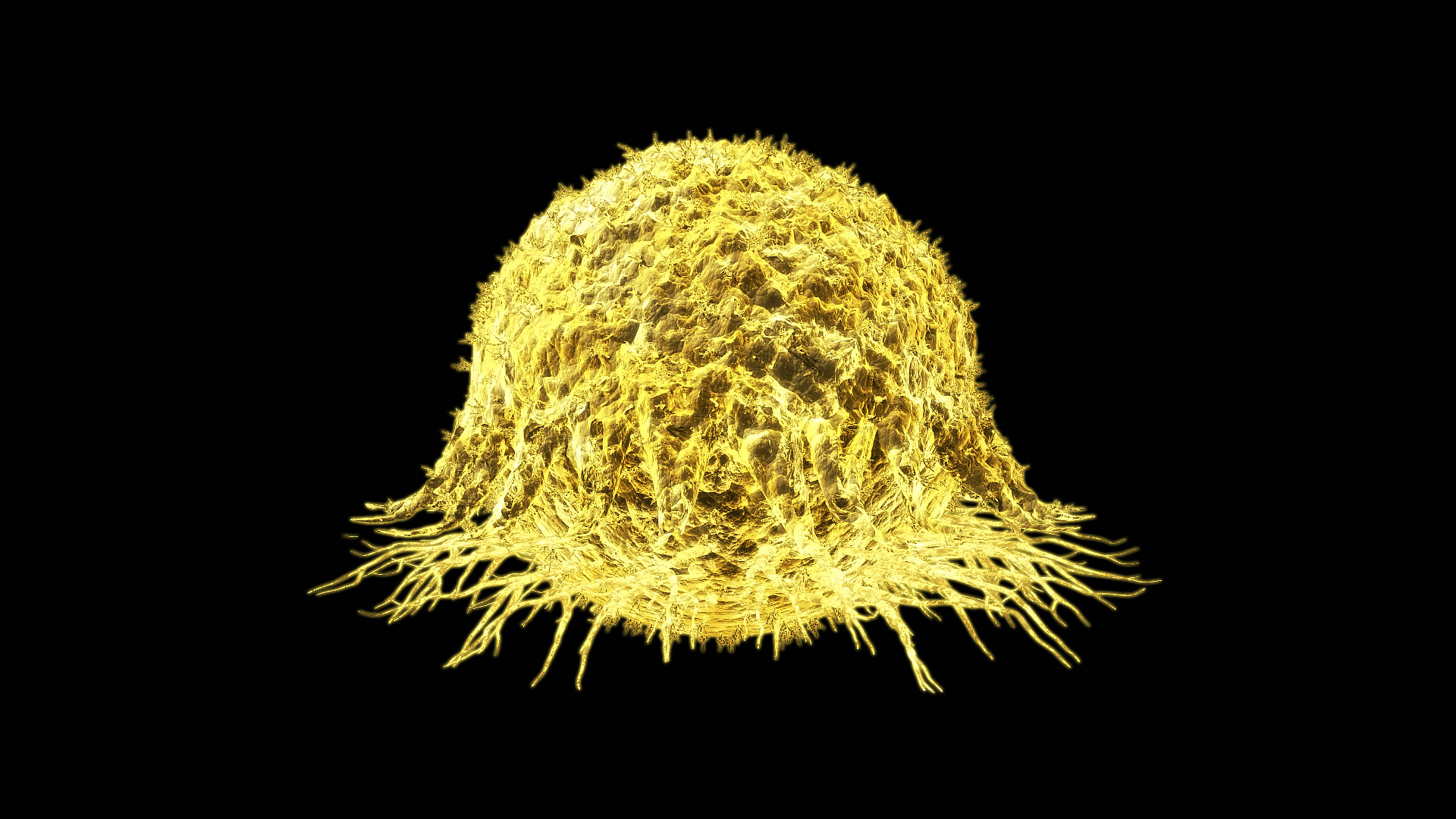 Cancer_Cell_11