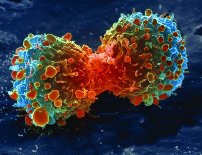 cancer-cell-division-696x534