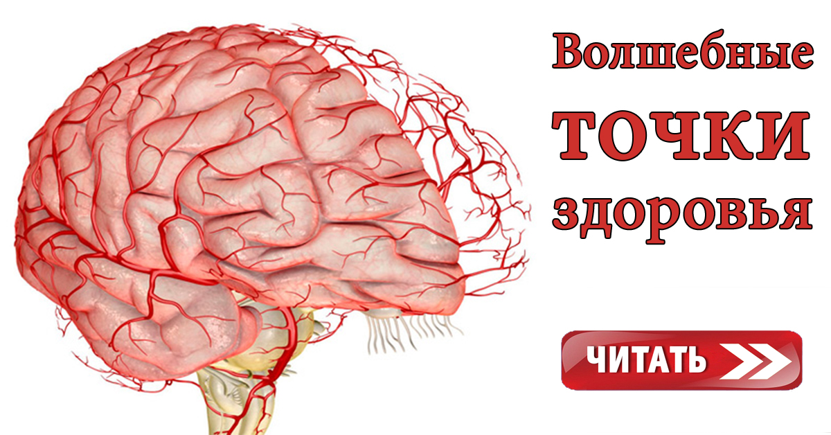 Недостаточности кровоснабжения мозга. Ангиоспазм сосудов головного мозга симптомы. Венозная дисгемия головного мозга. Вегето сосудистая дистония головного мозга. Кровеносные сосуды головы.