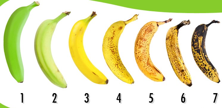 bananas++29+09