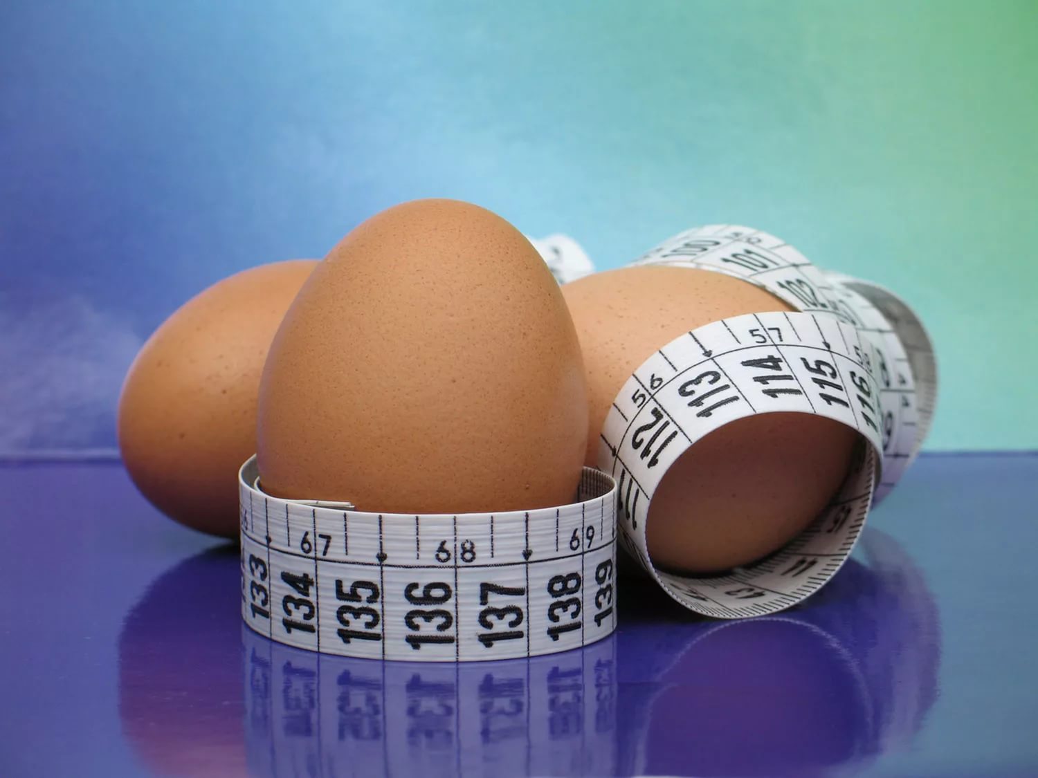 Похудеть на яйцах за неделю без диет