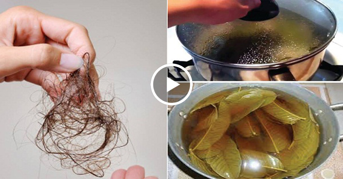 Как оживить луковицы волос на голове народными средствами