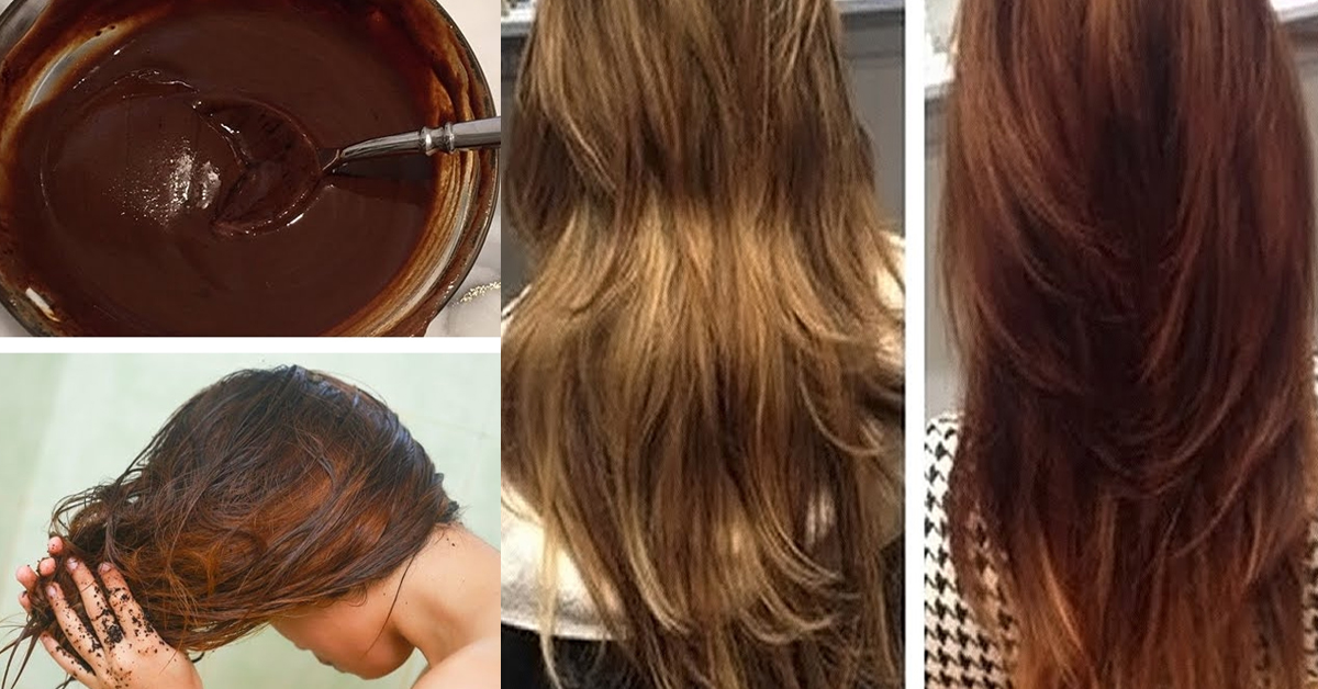 Натуральный пигмент волос. Окрашивание волос хной в шоколадный цвет. Окрашивание волос хной и какао. Хна для волос цвет шоколад. Окрашивание красителями 2 группы до и после.